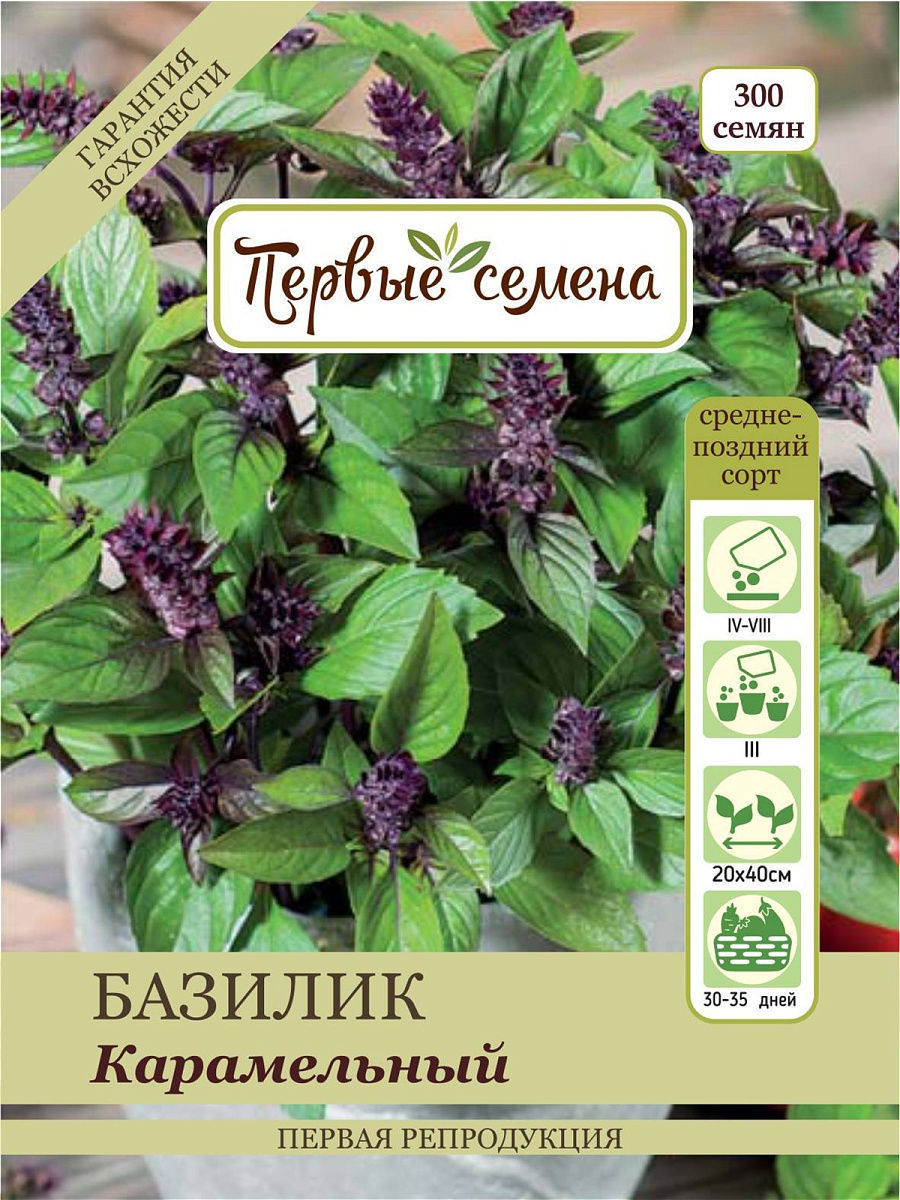 

Семена Первые семена Базилик овощной Карамельный, 0,4 г, 015166-1Семена