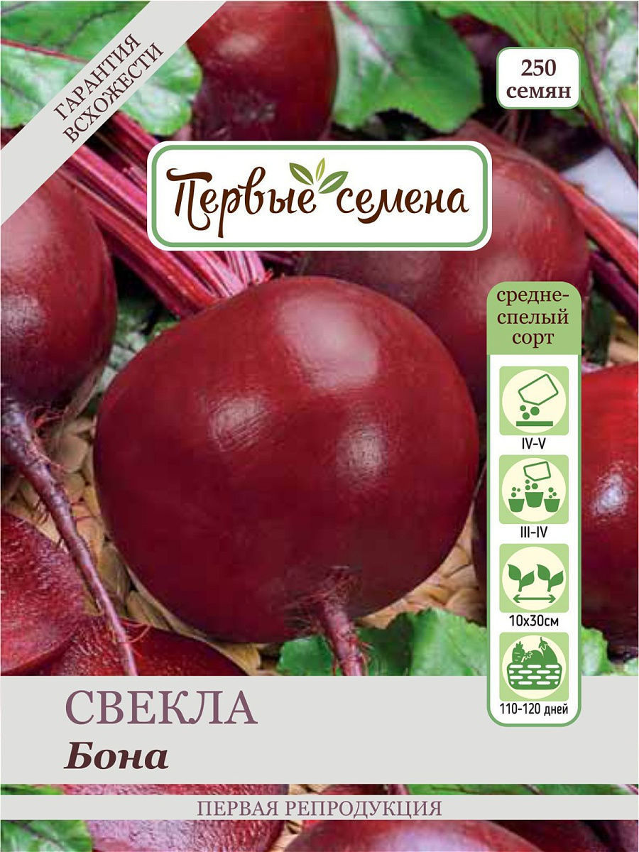

Семена Первые семена Свекла столовая Бона, 3,5 г, 019634-1Семена