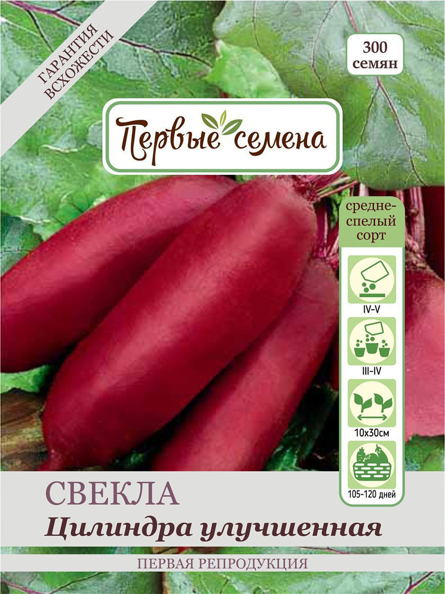 

Семена Первые семена Свекла столовая Цилиндра улучшенная, 3,5 г, 019636-1Семена