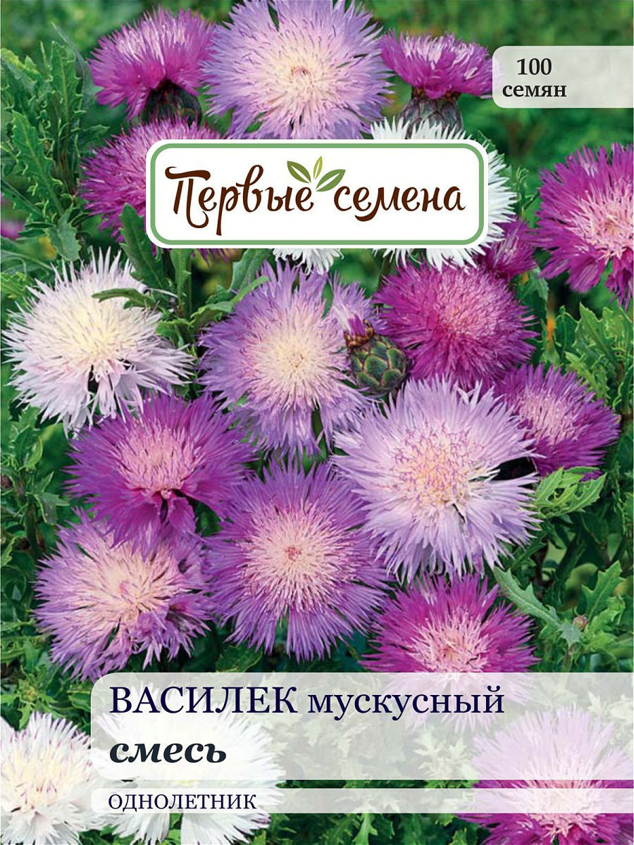 Семена василек Первые семена мускусный 023356-1 1 уп 6160₽