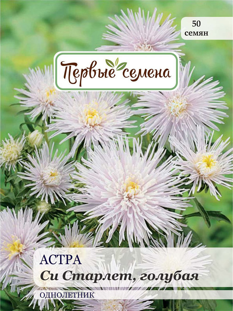 

Семена Первые семена Астра Си Старлет, голубая, 0,1 г, 034104-1Семена