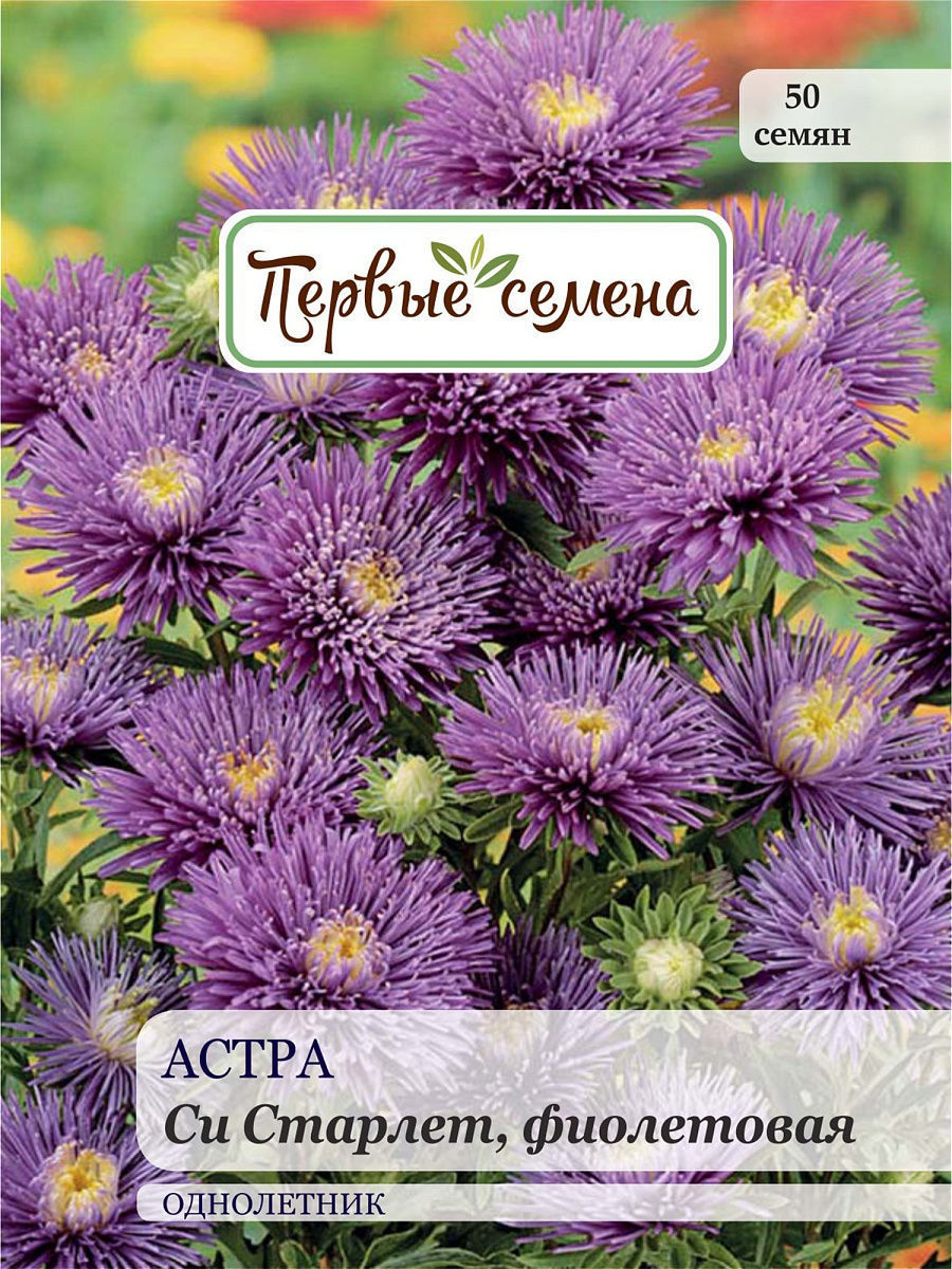 

Семена Первые семена Астра Си Старлет, фиолетовая, 0,1 г, 034109-1Семена