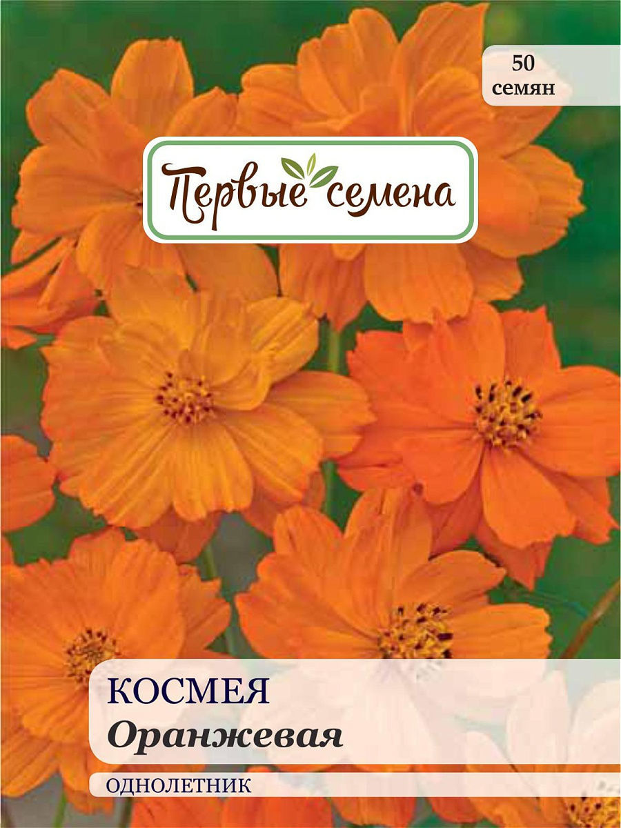 

Семена Первые семена Космея Оранжевая, 0,5 г, 033564-1Семена