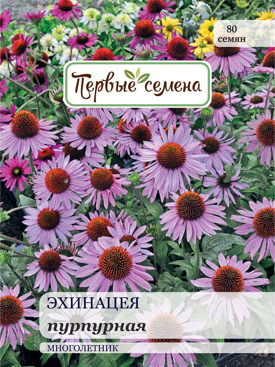 

Семена Первые семена Эхинацея пурпурная, 0,5 г, 023396-1Семена