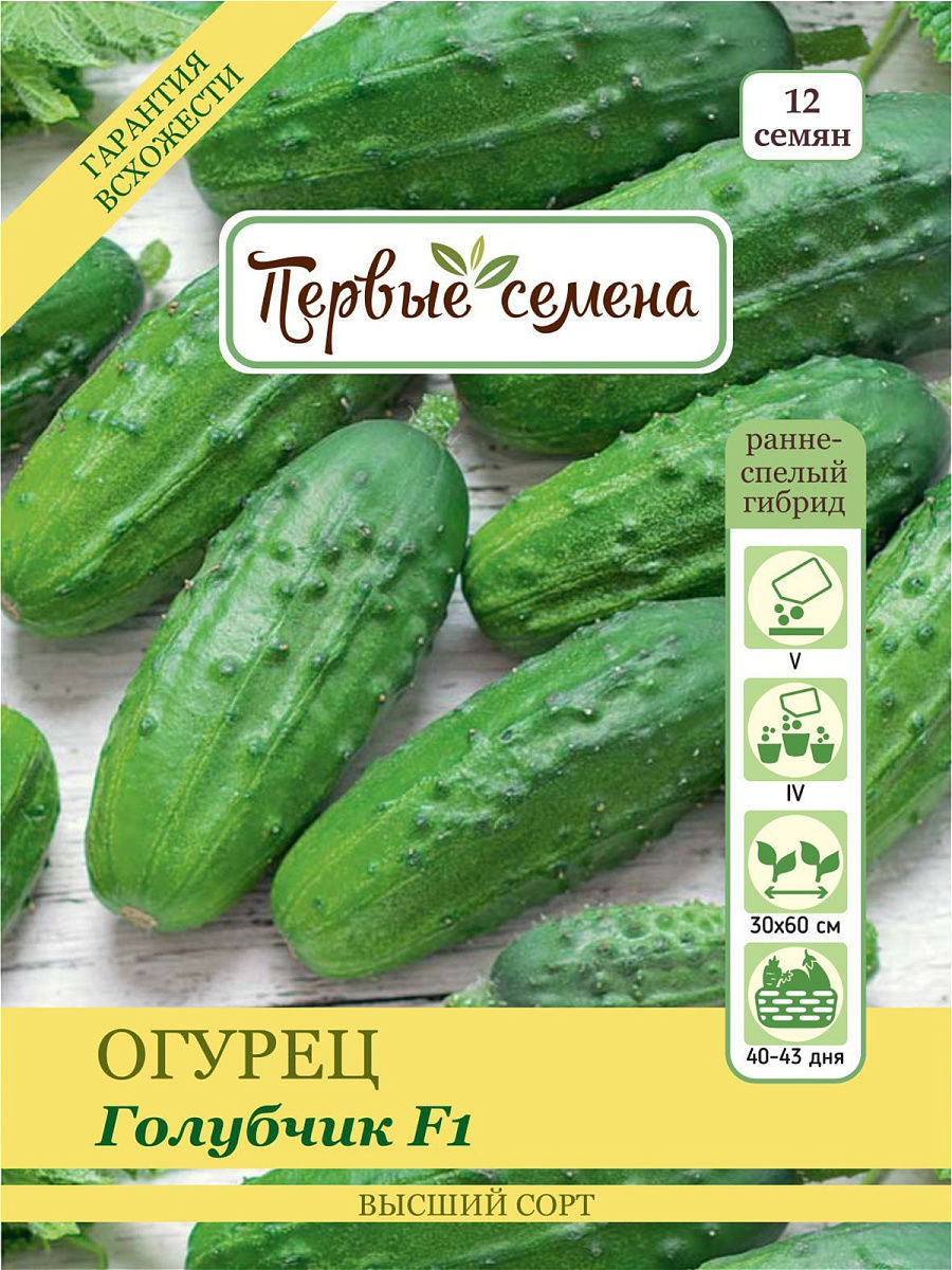 Огурцы Семена Отзывы Фото