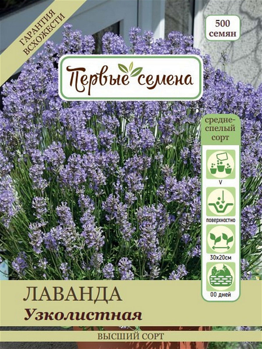 

Семена Первые семена Лаванда узколистная, 0,5 г, 036350-1Семена
