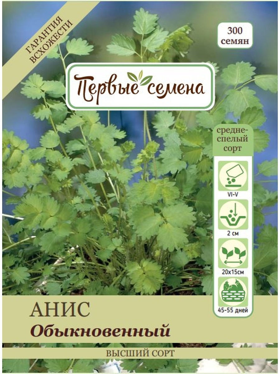 

Семена Первые семена Анис обыкновенный, 1 г, 036354-1Семена