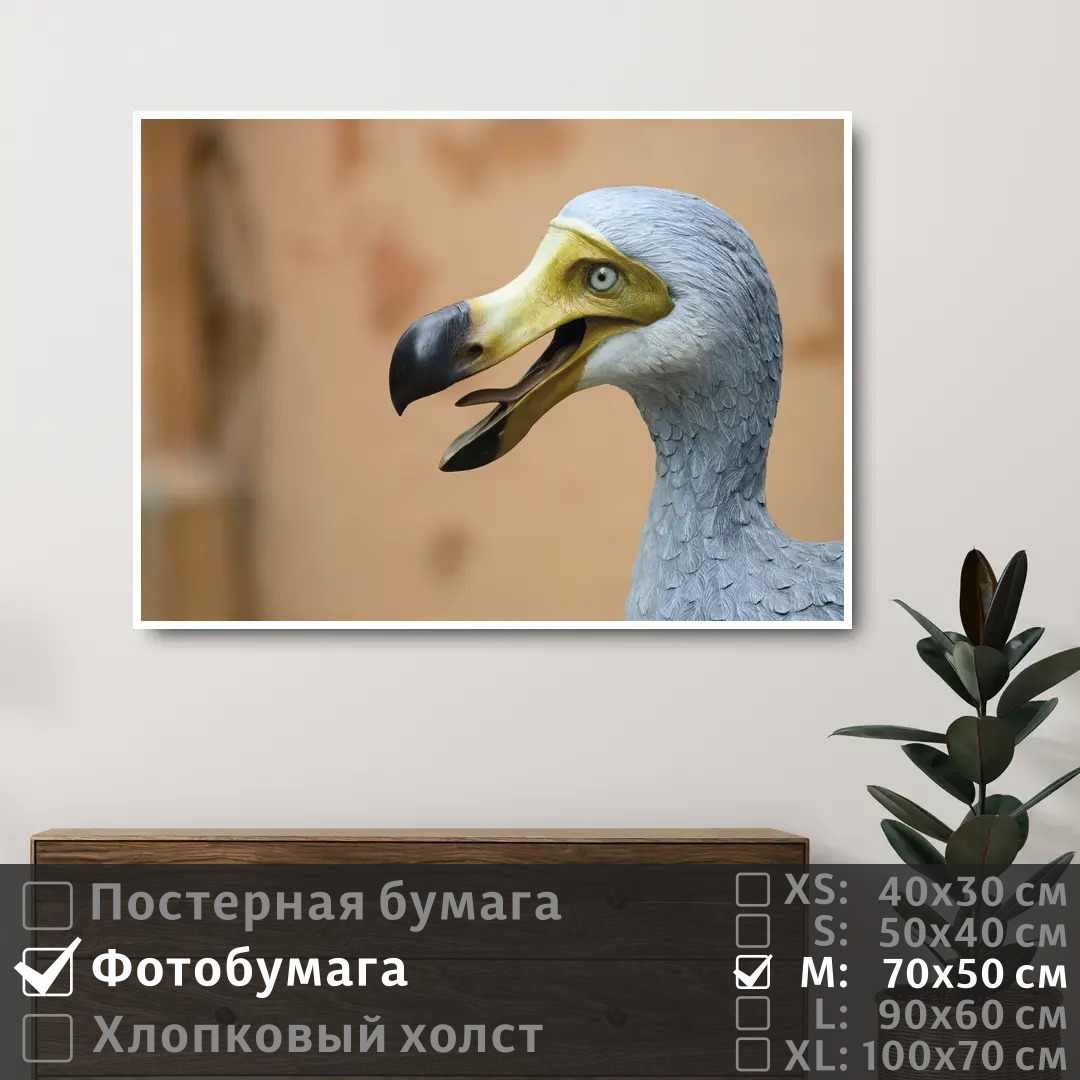 

Постер на фотобумаге ПолиЦентр Мифическая птица до до 70х50 см, МифическаяПтицаДоДо