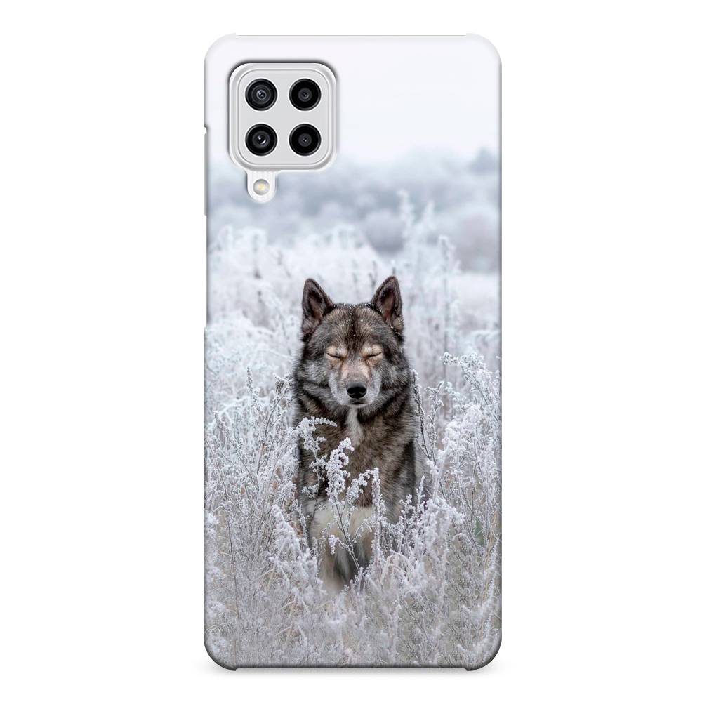 

Чехол Awog "Волк в поле" для Samsung Galaxy M22