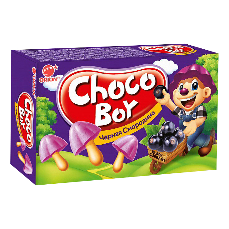 

Печенье Orion Choco-Boy Черная смородина 45 г