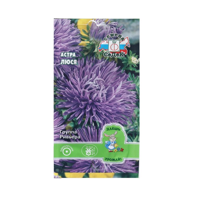 

Семена цветок Астра Люся, 0,2