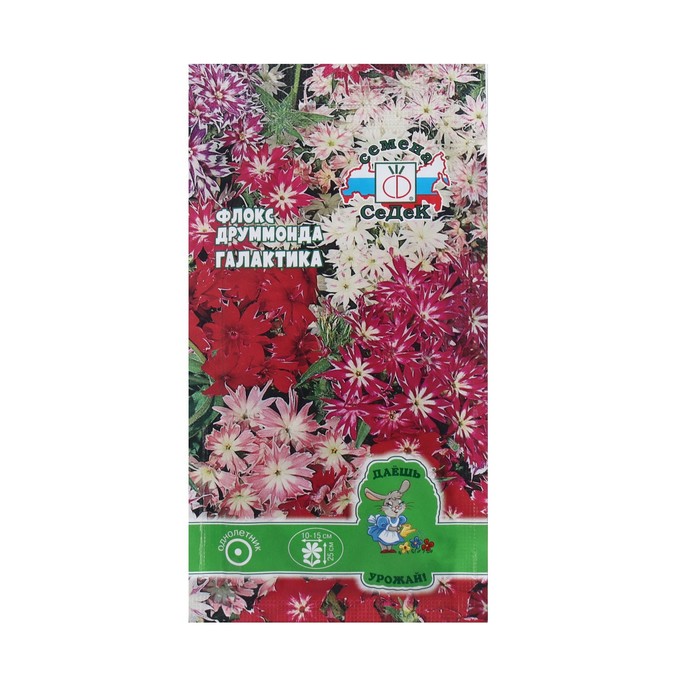 

Семена цветок Флокс Галактика, 0,1