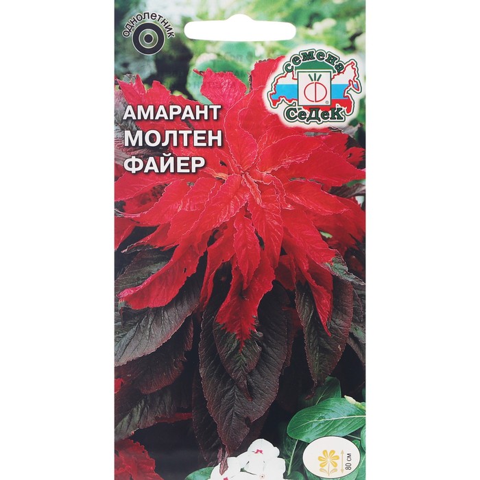 

Семенаовок Амарант Молтен файер (вид: двуцветный, окраска листьев красно-малиновая