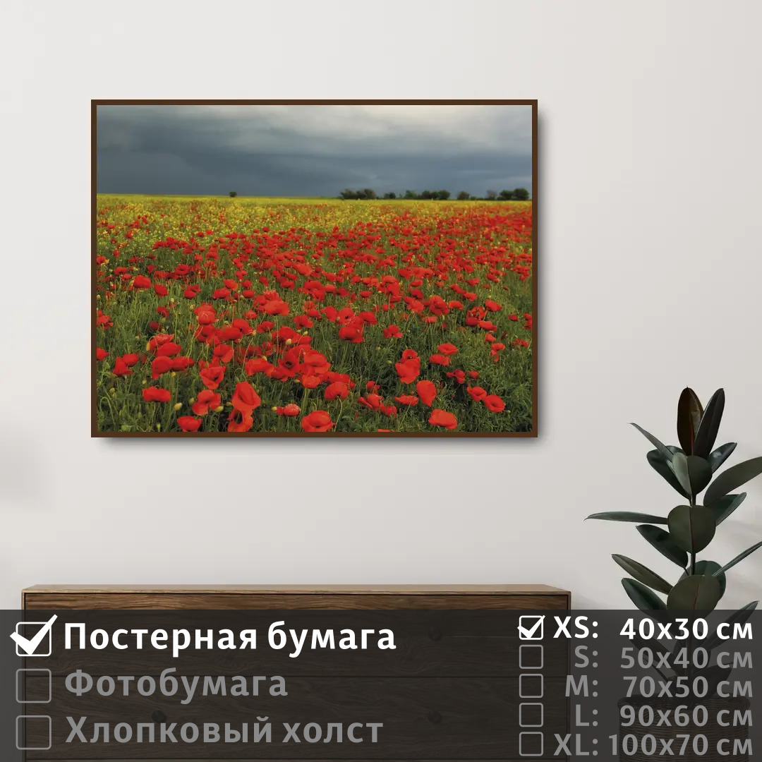 

Постер на стену ПолиЦентр Весенние полевые цветы маки 40х30 см, ВесенниеПолевыеЦветыМаки