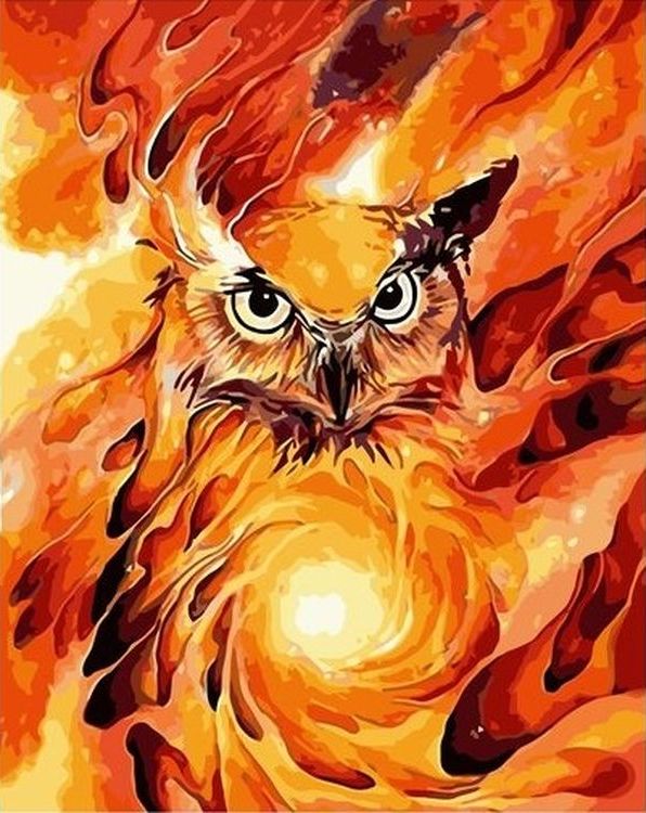 

Живопись по номерам Paintboy Огненная сова 40x50, Огненная сова