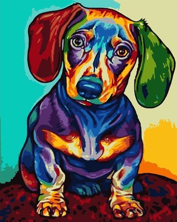

Живопись по номерам Paintboy Радужная такса 40x50, Радужная такса