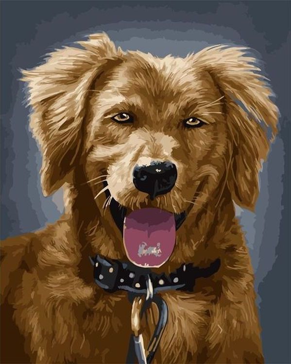 

Живопись по номерам Paintboy Рыжий пёс 40x50, Рыжий пёс