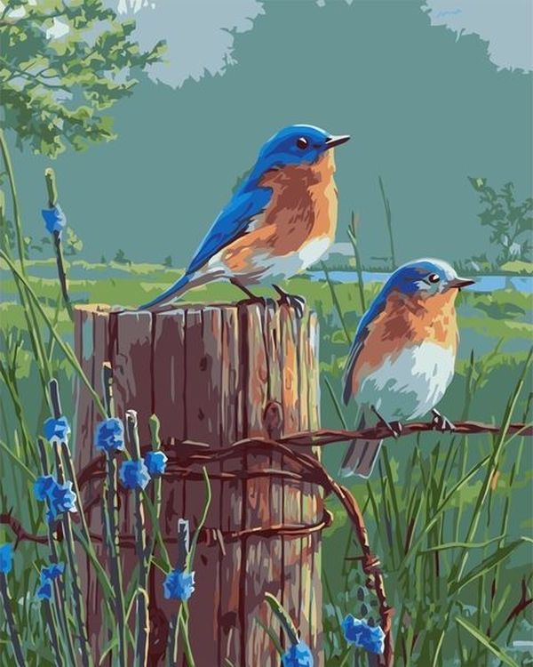 

Живопись по номерам Paintboy Синие птички на заборе 40x50, Синие птички на заборе