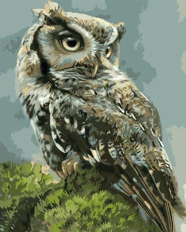 

Живопись по номерам Paintboy Сова на траве 40x50, Сова на траве