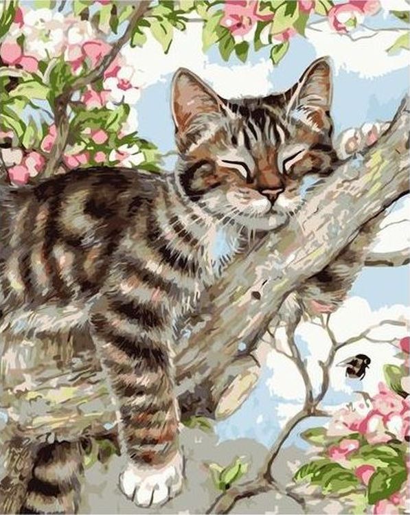 

Живопись по номерам Paintboy Спящий кот 40x50, Спящий кот
