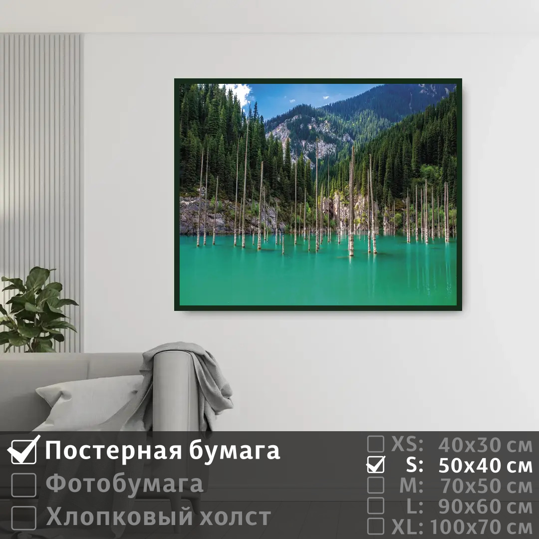 

Постер на стену ПолиЦентр Бирюзовое озеро с сосновым лесом в горах 50х40 см, БирюзовоеОзероССосновымЛесомВГорах