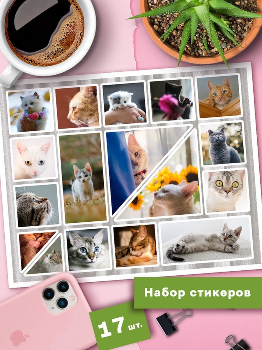 

Наклейки Клейкие Наклейки Фото котиков SHNA_069_20x28