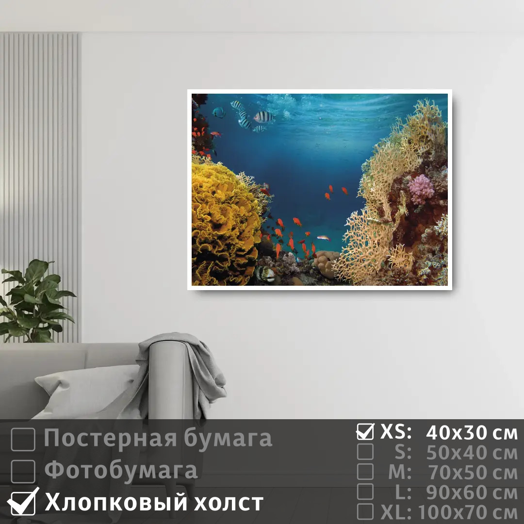 

Постер на холсте ПолиЦентр Морские рыбки в коралловых рифах 40х30 см, МорскиеРыбкиВКоралловыхРифах