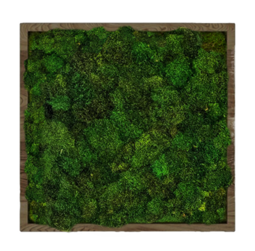 

Панно для интерьера GardenGo 120х120см из натурального стабилизированного мха, 10