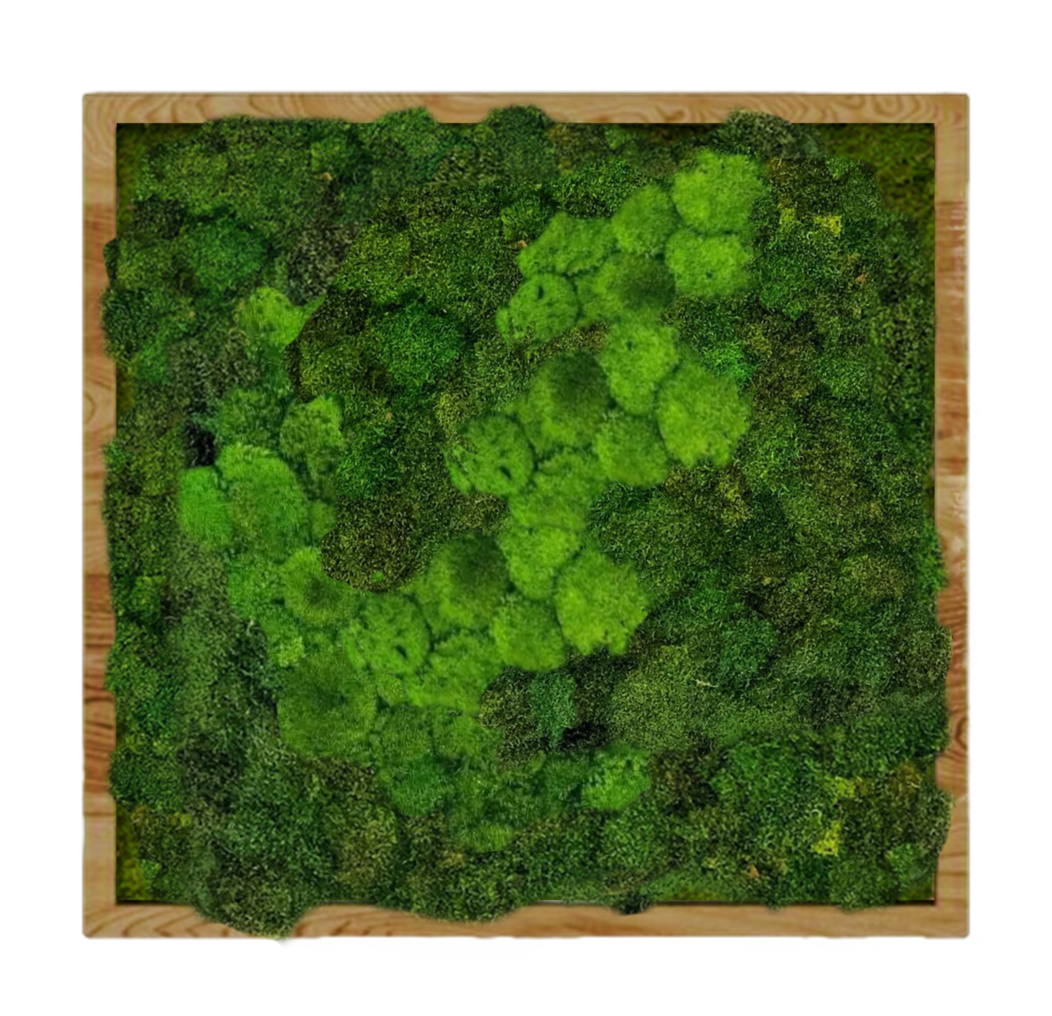 

Панно для интерьера GardenGo 90х90см из натурального стабилизированного мха зеленого цвета, 11