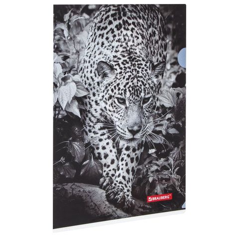 

Папка-уголок Brauberg Leopard А4, Черный