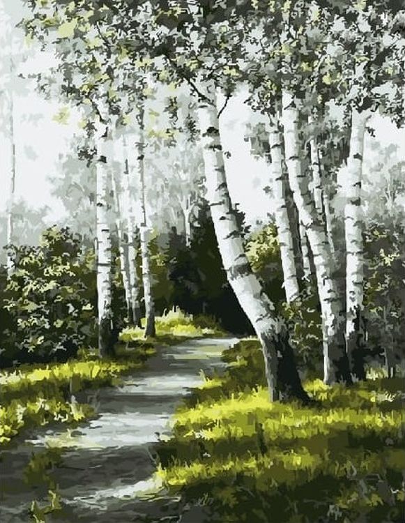

Живопись по номерам Paintboy Берёзы 40x50, Берёзы