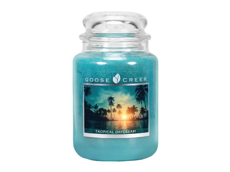 

Ароматическая свеча GOOSE CREEK Tropical Daydream 150ч ES24622-vol, Зеленый, ES24622-vol
