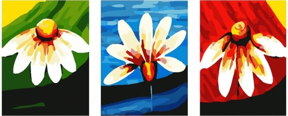 

Живопись по номерам Paintboy Ромашки 40х50, Ромашки
