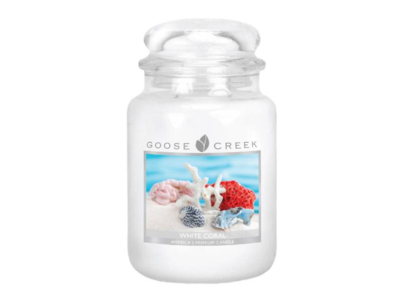 

Ароматическая свеча GOOSE CREEK White Coral 150ч ES26352-vol, Белый, ES26352-vol