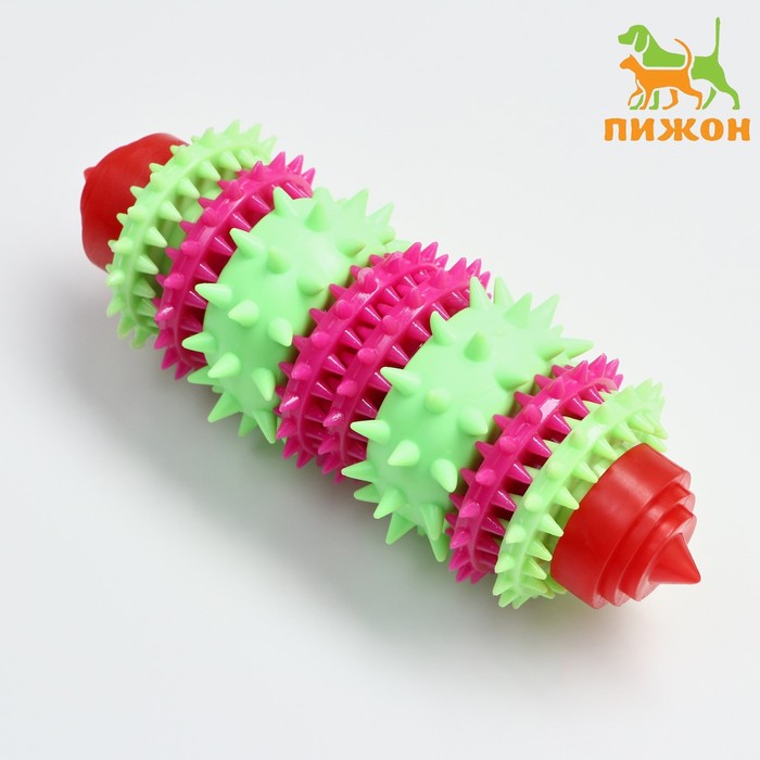 

Игрушка жевательная 15,5 х 5,5 см, красная/зелёная/розовая
