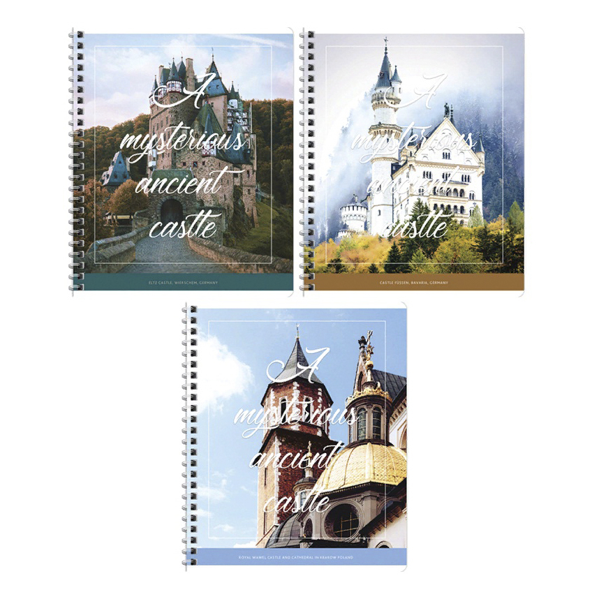 

Тетрадь общая ArtSpace Путешествия.Mysterious castle 48 листов А5 на гребне в клетку