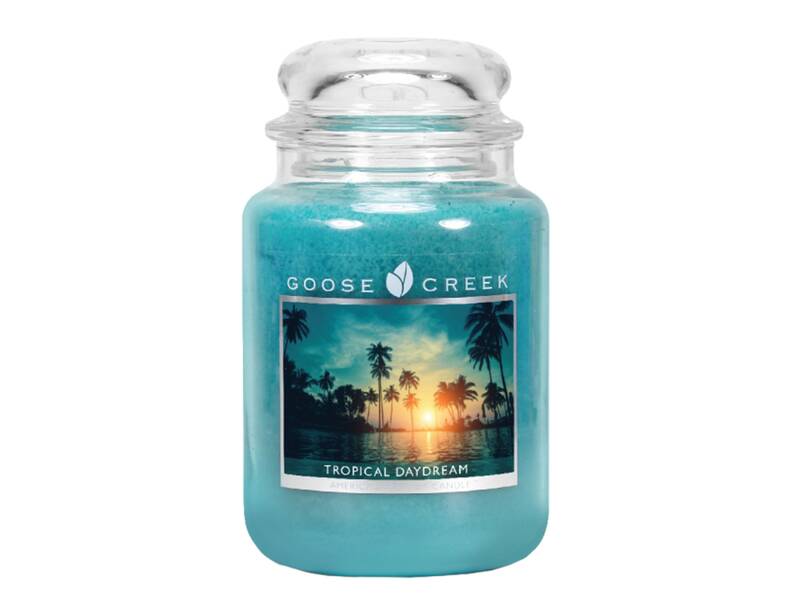 

Ароматическая свеча GOOSE CREEK Tropical Daydream 75ч, Зеленый, ES16622-vol