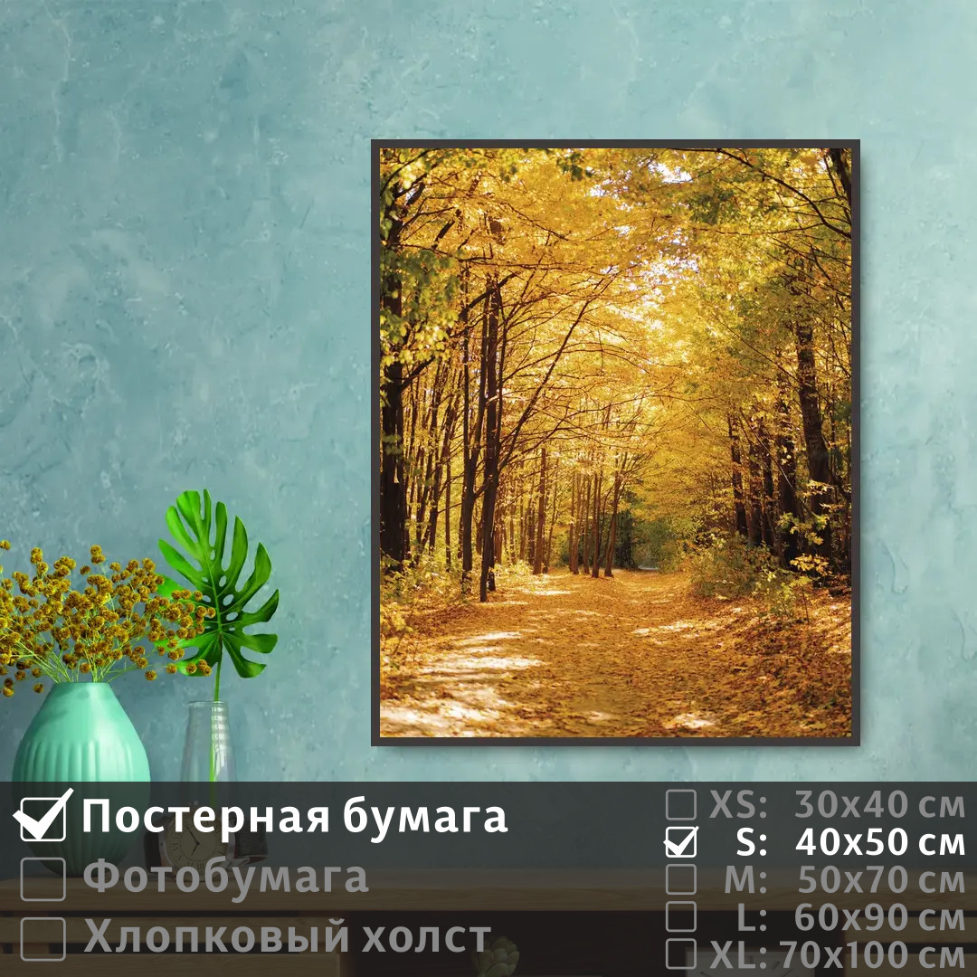 

Постер на стену ПолиЦентр Тропинка в осеннем лесу 40х50 см, ТропинкаВОсеннемЛесу