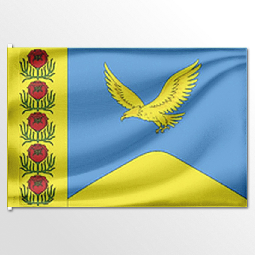 

Флаг ЦТП ФЕНИКС Дмитриевского сельского поселения 135x90 см, 7307-135x90