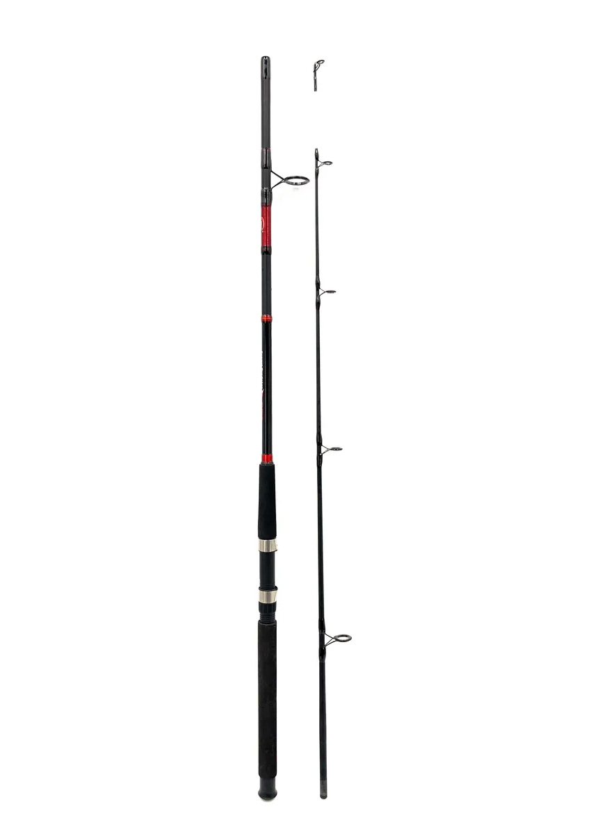 

Спиннинг DAYO EXPERT PREDATOR штекерный 20-60г 2.4м