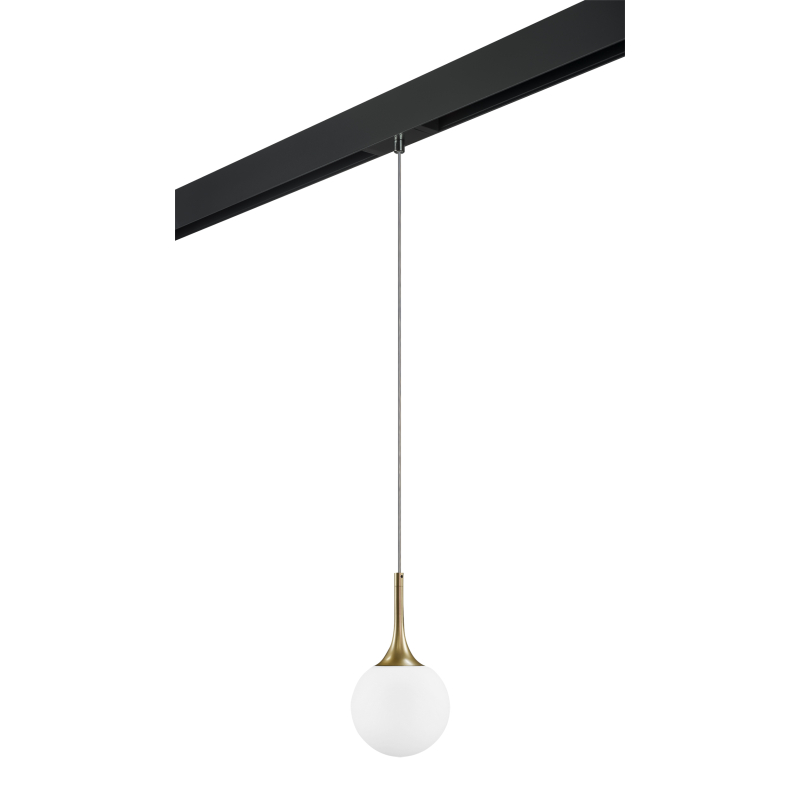 

Трековый светильник Lightstar Globo PRO813013 (813013+595007), Globo