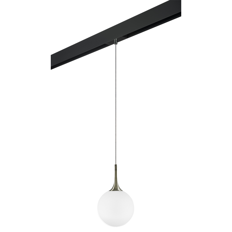 

Трековый светильник Lightstar Globo PRO813021 (813021+595007), Globo