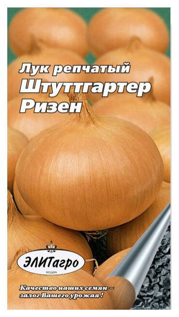 Лук репчатый штуттгартер ризен семенами. Лук Штутгартер Ризен семена. Лук Штутгартен Ризен (Гавриш). Лук репчатый Штуттгартер Ризен.