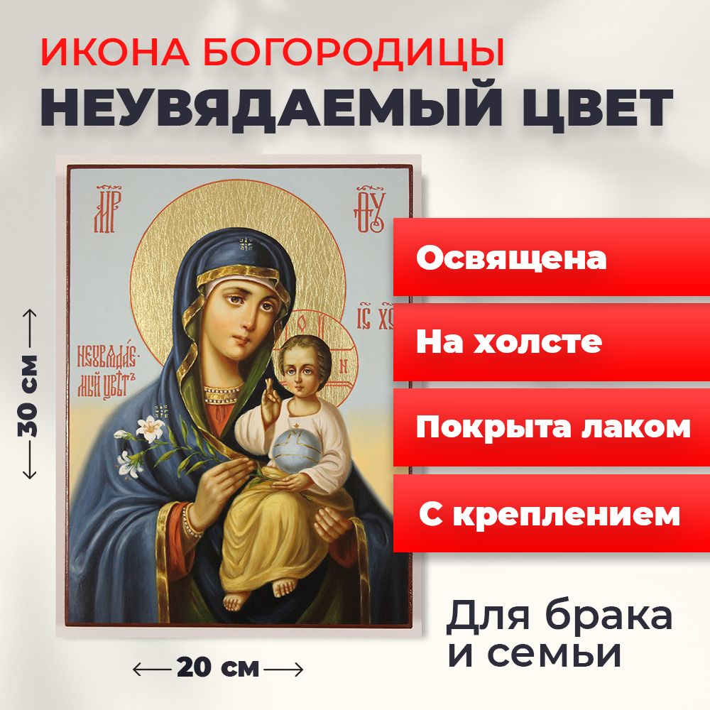 

Освященная икона на холсте "Богородица Неувядаемый Цвет", 20*30 см, Богородица