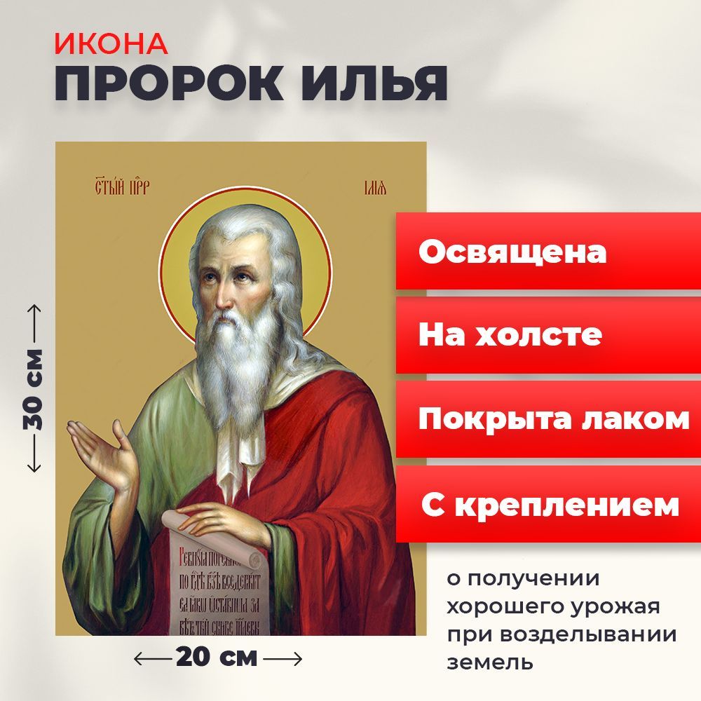 

Освященная икона на холсте "Илья Пророк", 20*30 см, Популярные_святые