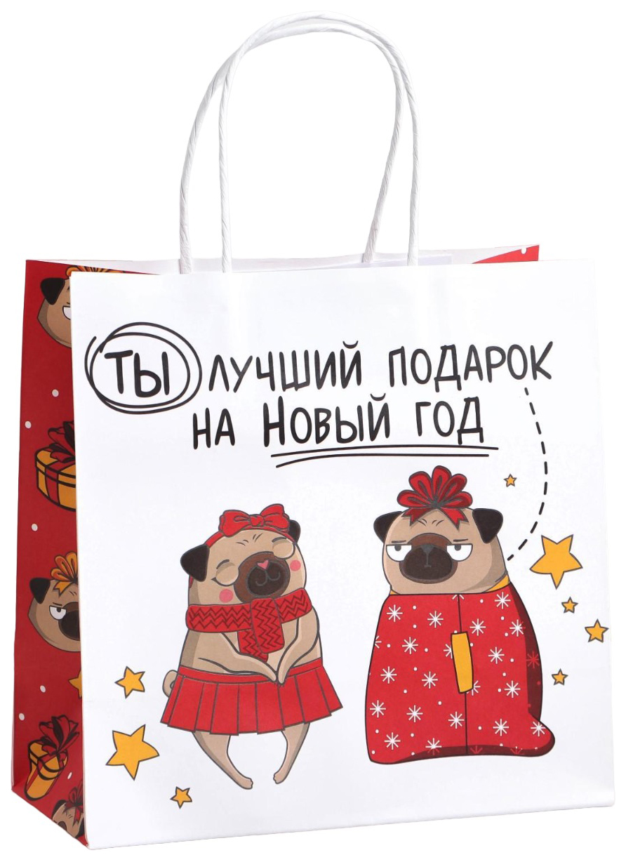 

Пакет подарочный Ты - лучший подарок, 22 х 22 х 11 см, Разноцветный