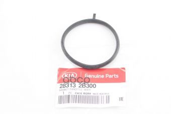 Прокладка Дросельной Заслонки Hyundai/Kia 28313-2b300 Kia Cerato 08-> Hyundai-KIA арт. 283 100044513695