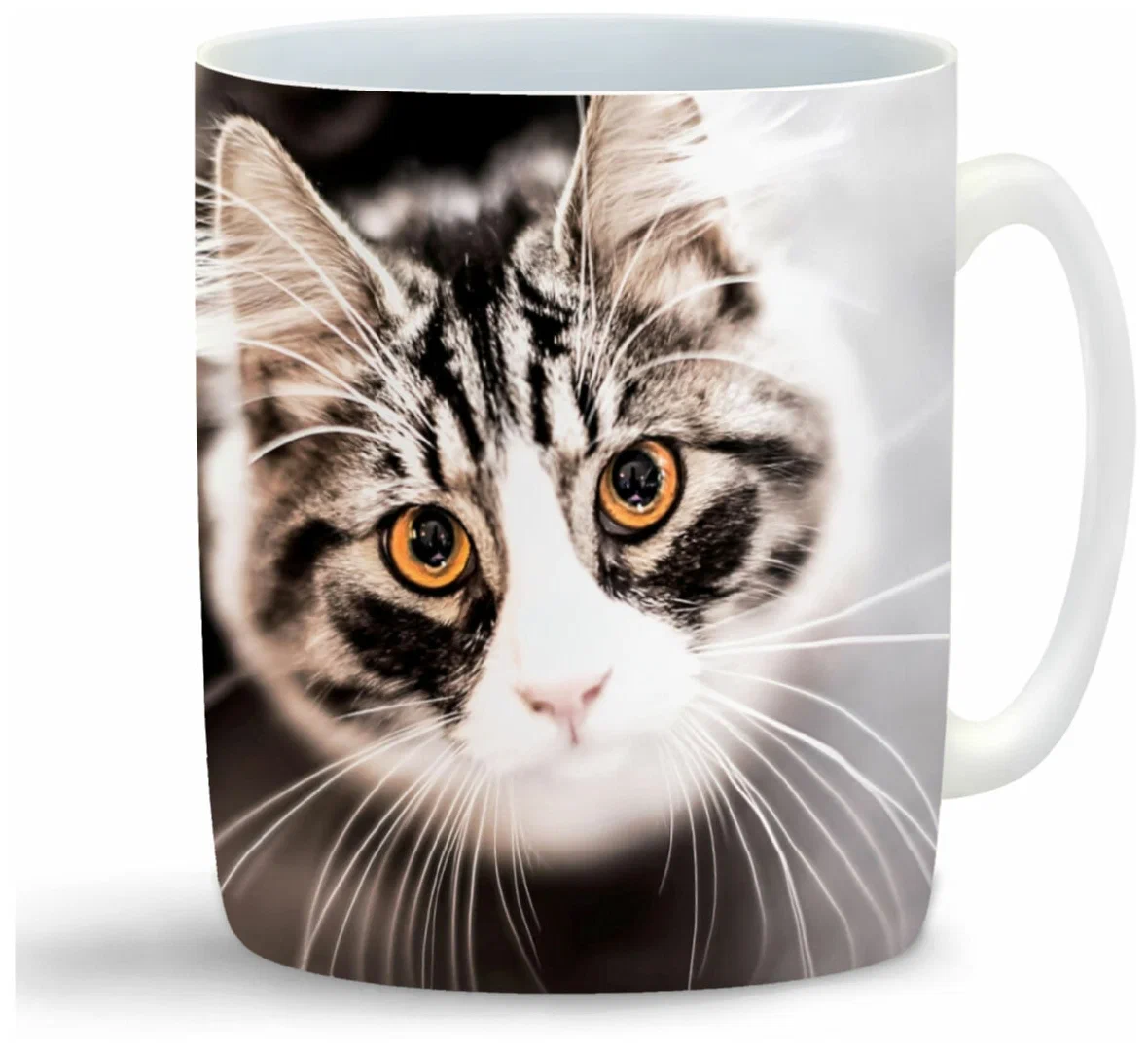 

Кружка CoolPodarok Кошка смотрит на верх