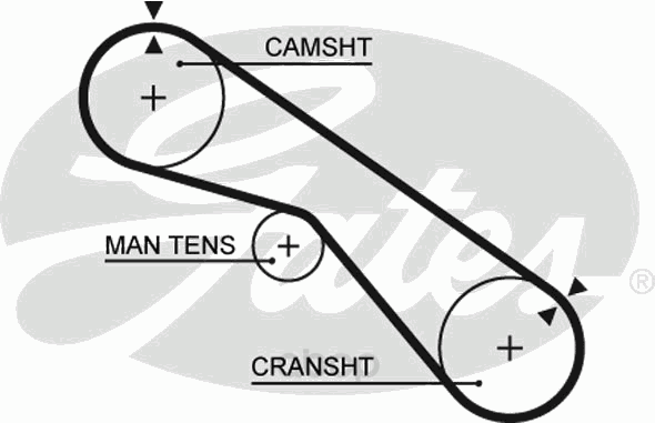 фото Ремень грм gates 5321xs