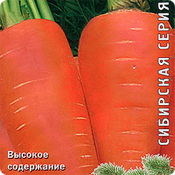 

Семена Морковь Шантенэ 2461, 2 г, Поиск, 143893